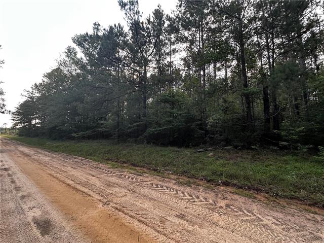 Tbd Ebenezer Cemetery Road Leesville, LA 71446 - Photo 2 of 5