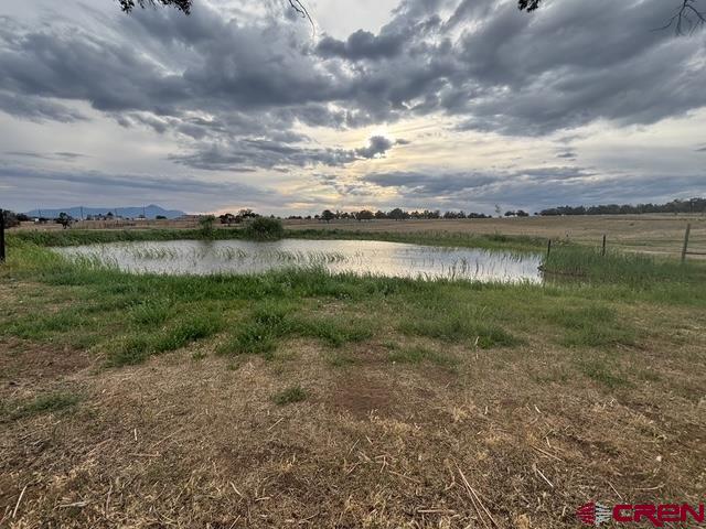 34099 Rd M Mancos, CO 81328 - Photo 2 of 35