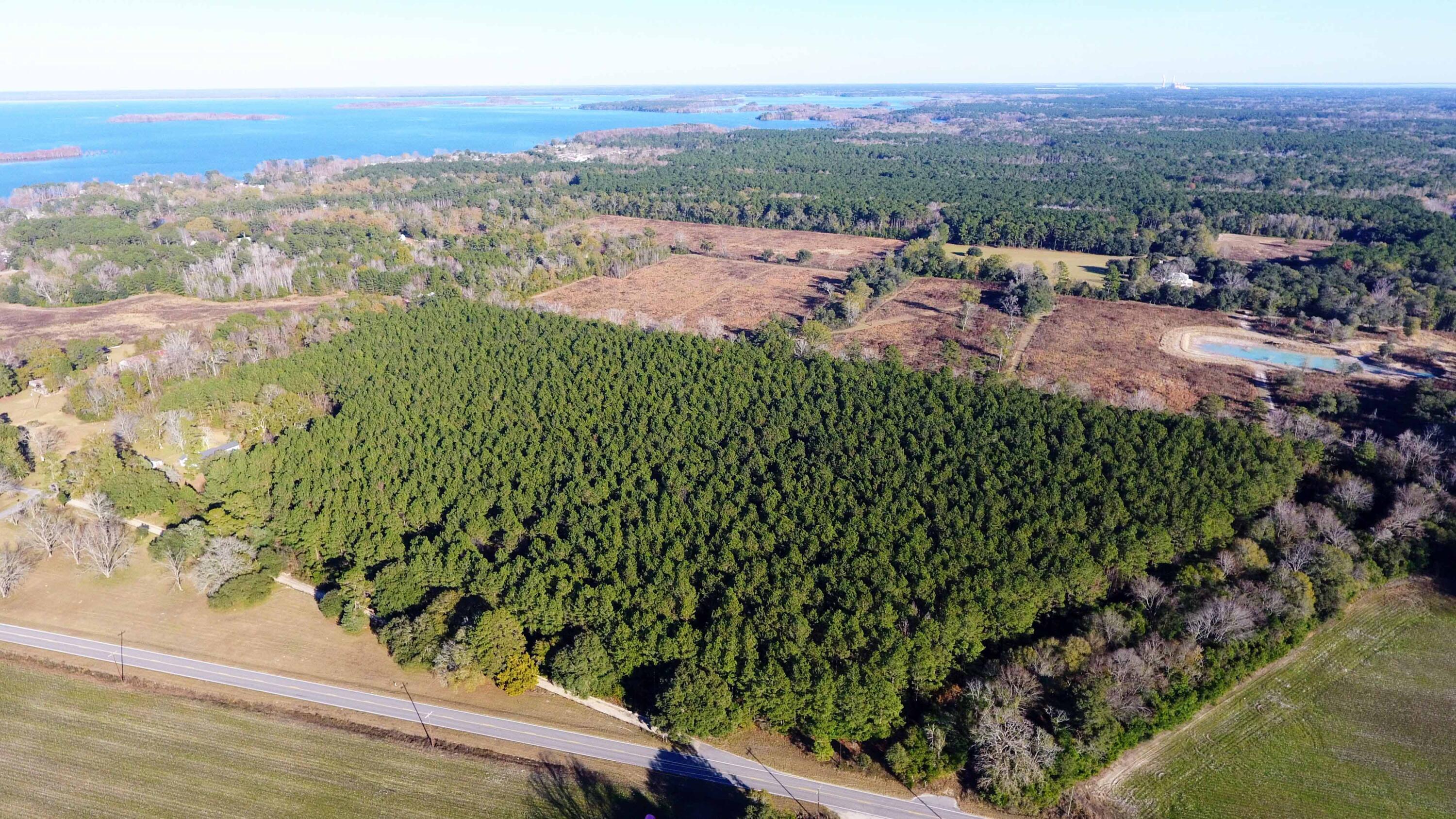 0 Rocks Pond (lot A) Road Eutawville, SC 29048 - Photo 3 of 5 DJI_0271 copy