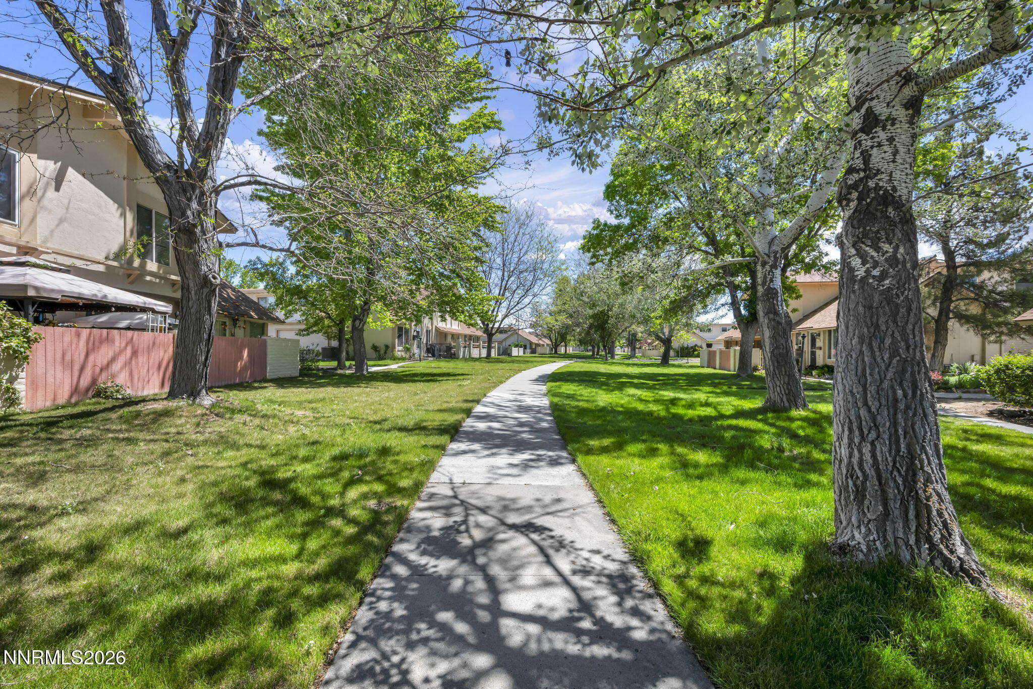 19 Condor Circle Carson City, NV 89701 - Photo 38 of 41 a view of a yard with plants and large trees