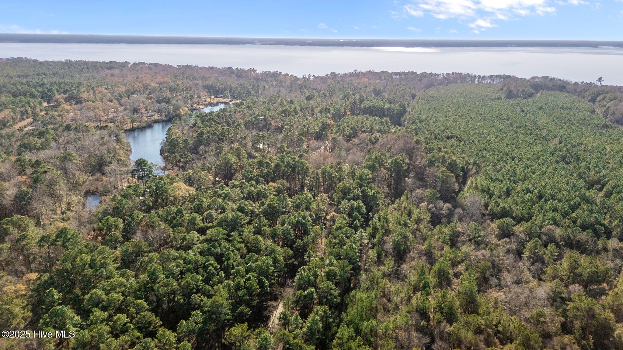 920 Jeff Road Arapahoe, NC 28510 - Photo 12 of 56 Aerial Photo