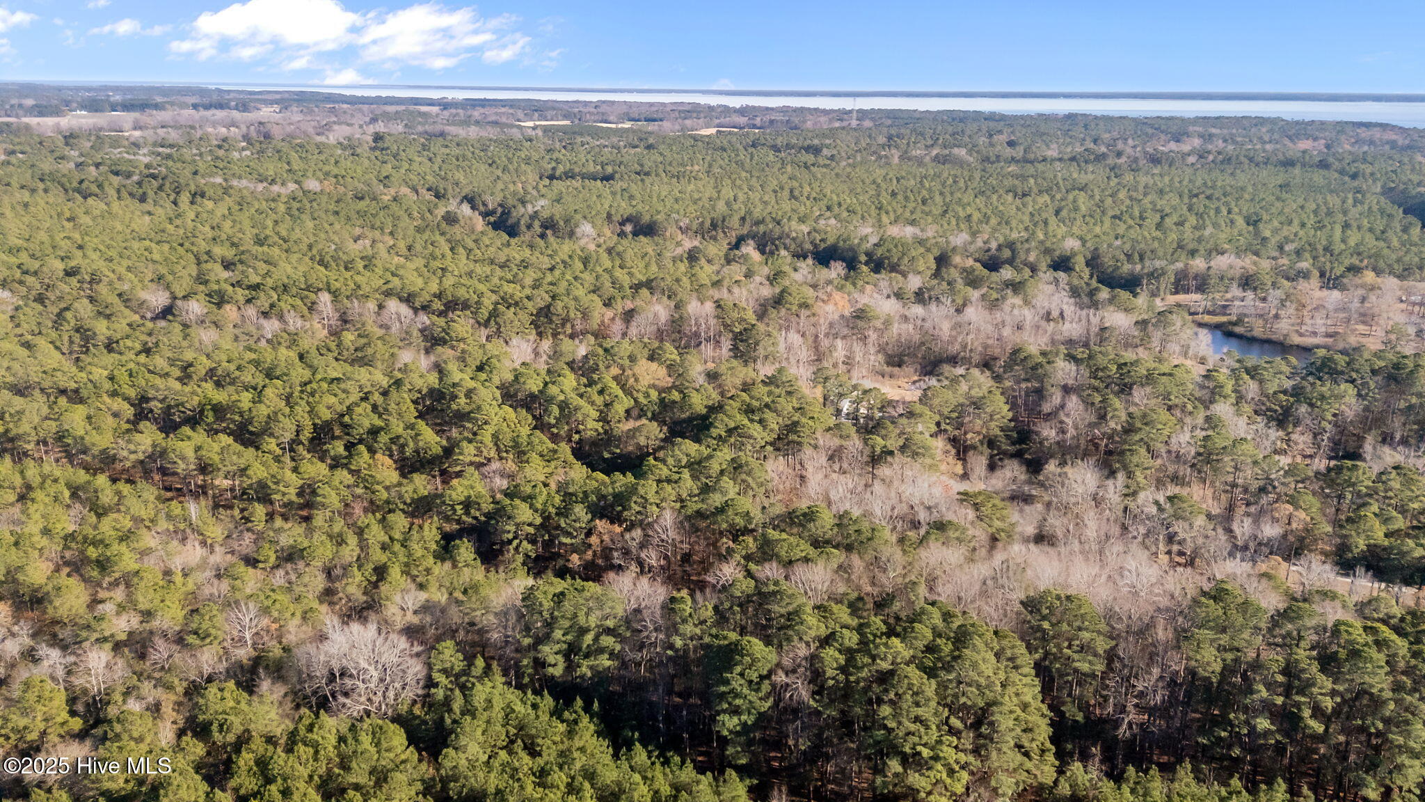 920 Jeff Road Arapahoe, NC 28510 - Photo 14 of 56 Aerial Photo
