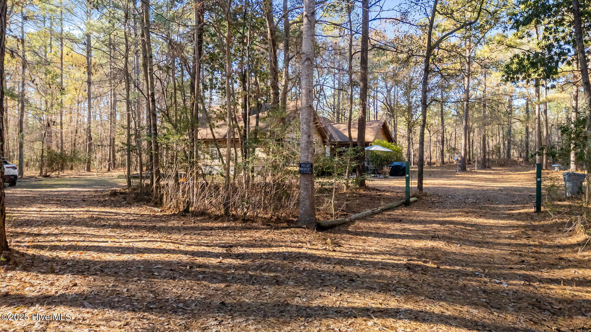 920 Jeff Road Arapahoe, NC 28510 - Photo 19 of 56 View from Driveway Entrance