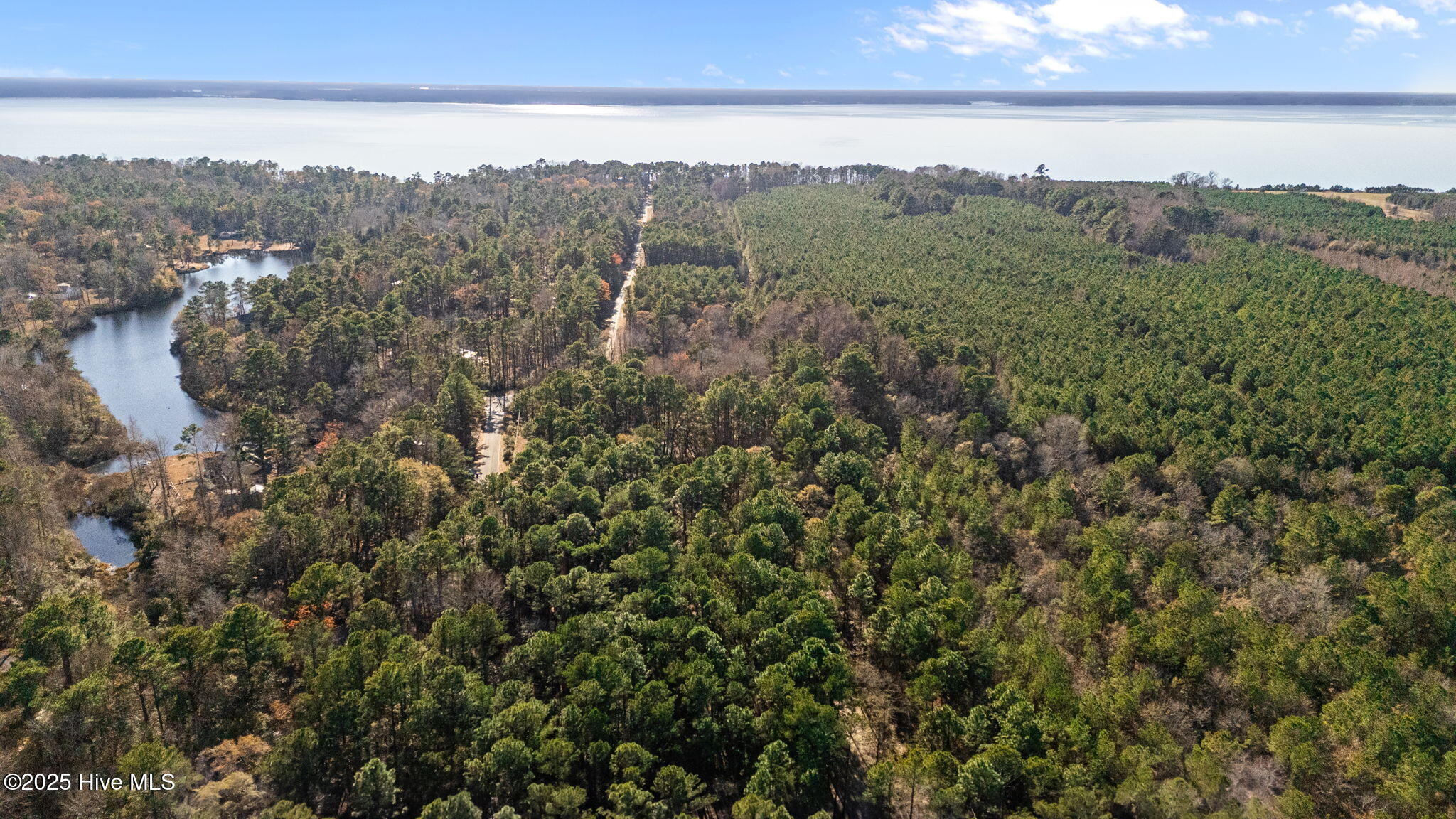 920 Jeff Road Arapahoe, NC 28510 - Photo 56 of 56 Aerial View