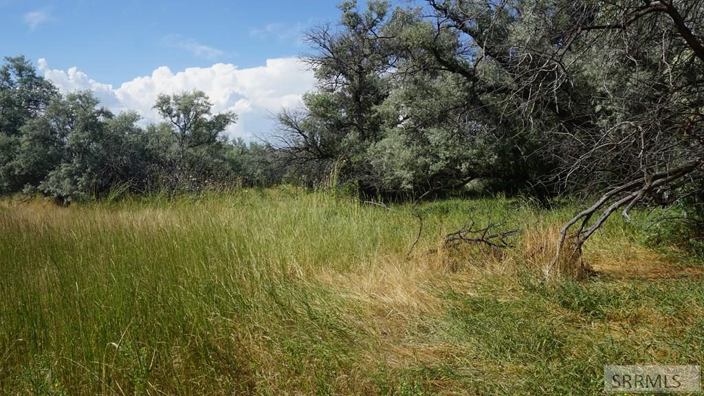 Undisclosed Address Preston, ID 83263 - Photo 9 of 19