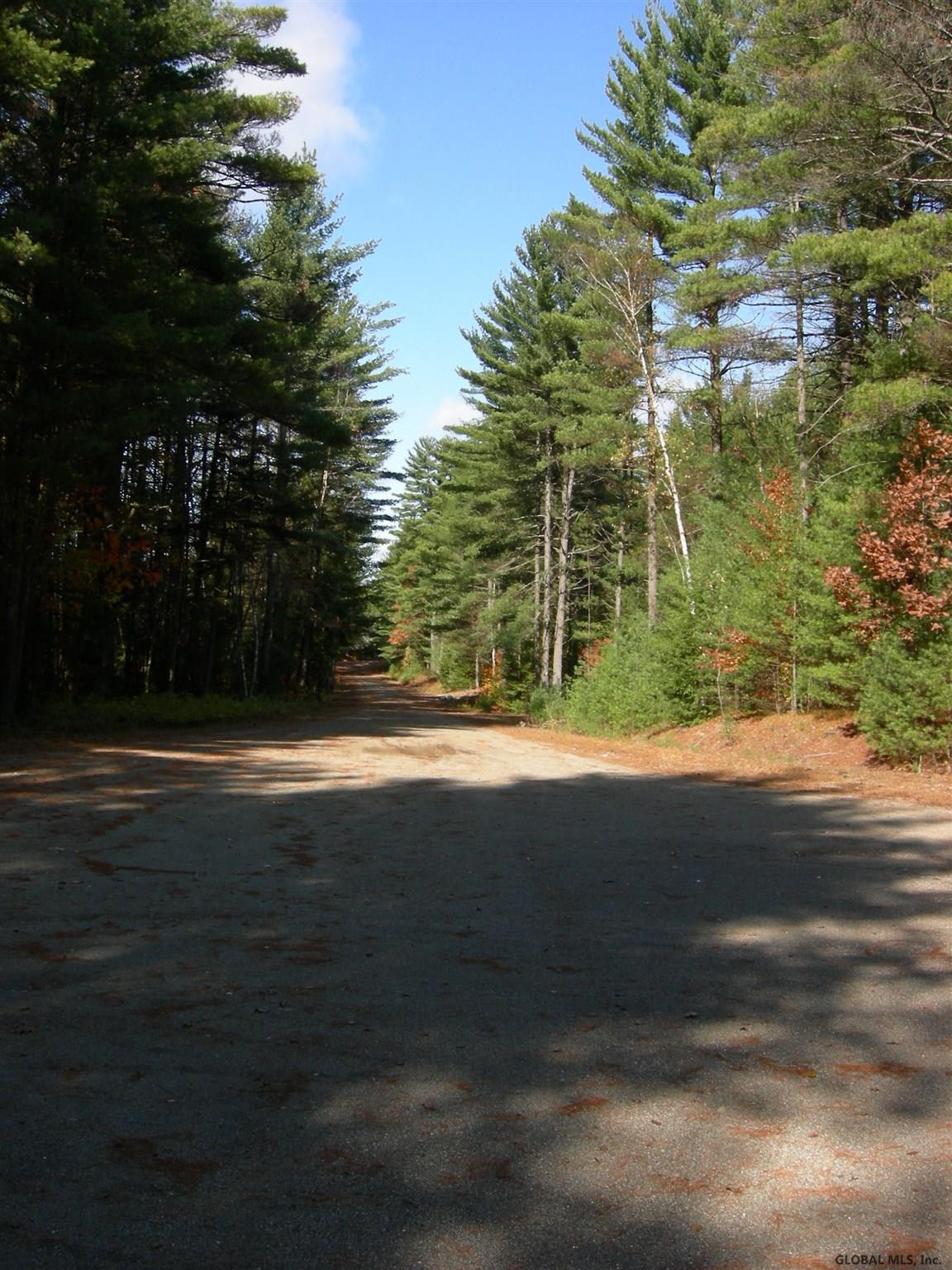 29 Little Pond Road Chester, NY 12817 - Photo 1 of 2 Photo 1