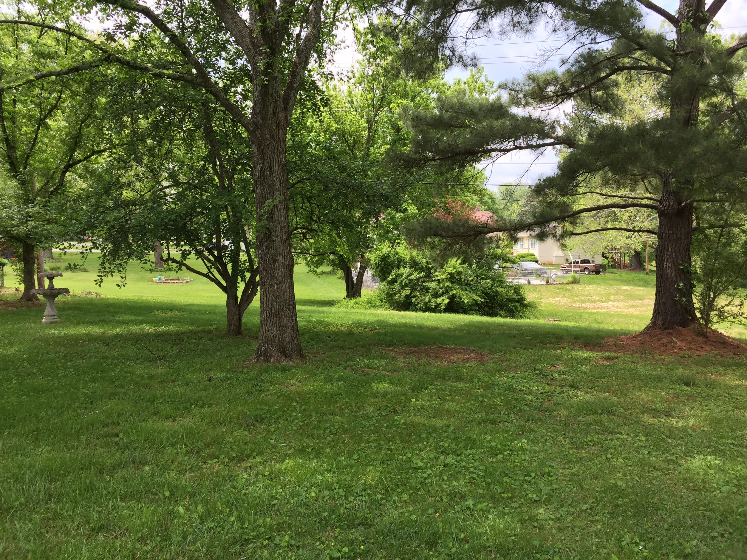 7625 Cranley Road Powell, TN 37849 - Photo 3 of 22 Backyard