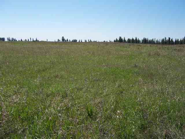 0 West Jacobs Road Spokane, WA 99224 - Photo 1 of 3