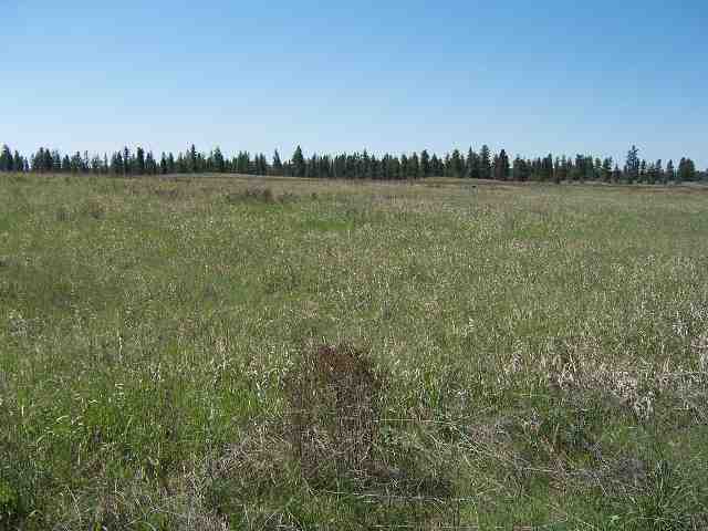 0 West Jacobs Road Spokane, WA 99224 - Photo 2 of 3