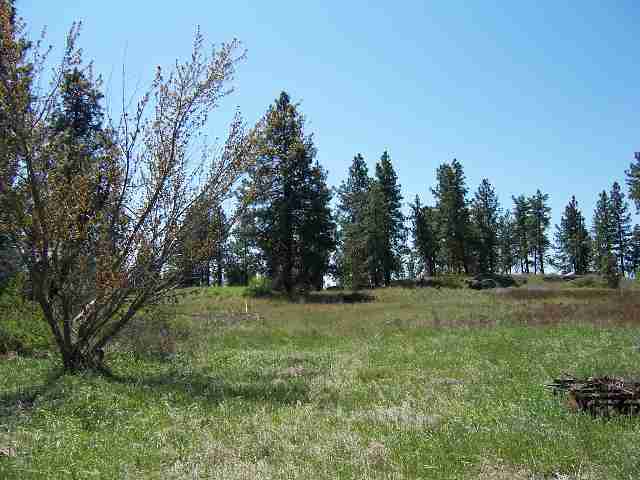 0 West Jacobs Road Spokane, WA 99224 - Photo 3 of 3