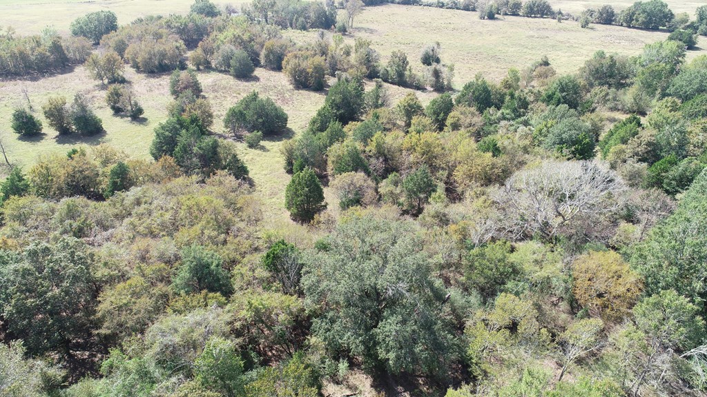 2703 AN County Road Tennessee Colony, TX 75861 - Photo 11 of 30