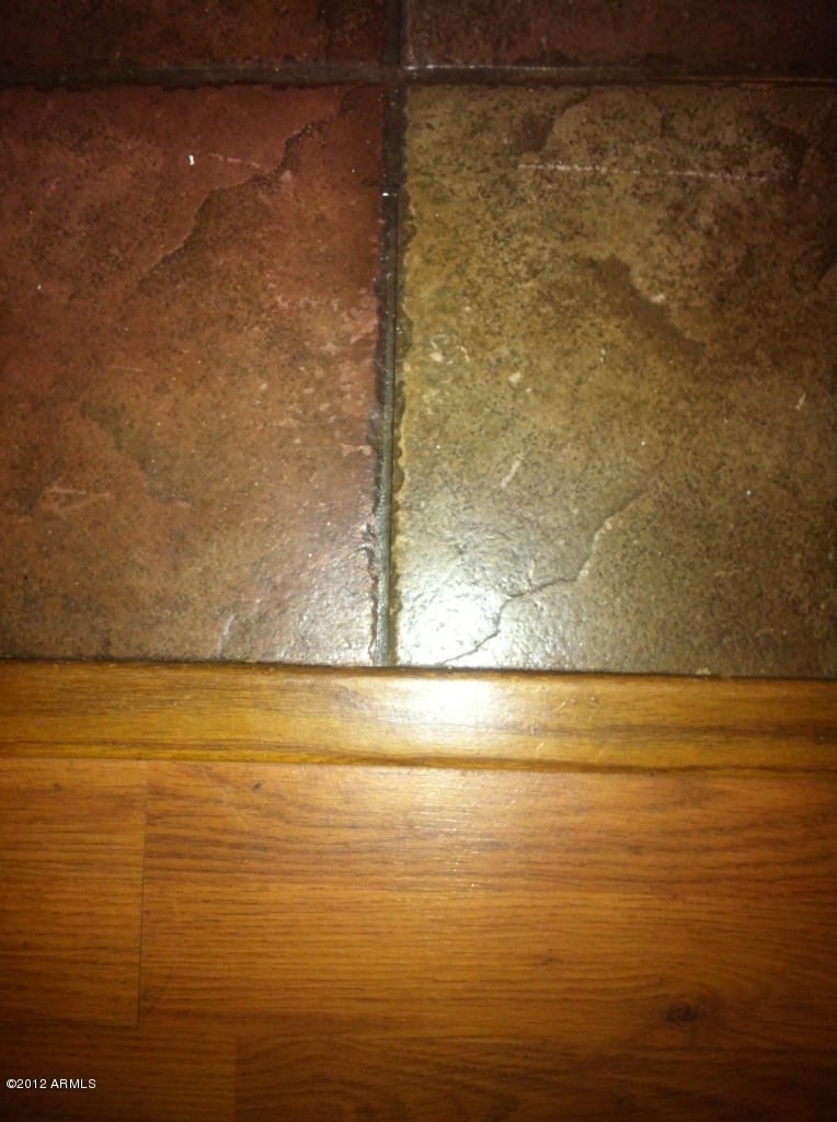 8734 West Ocotillo Road Glendale, AZ 85305 - Photo 30 of 39 flooring