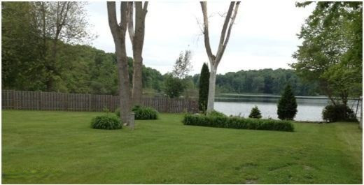 View to lake