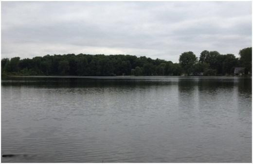 Lake view