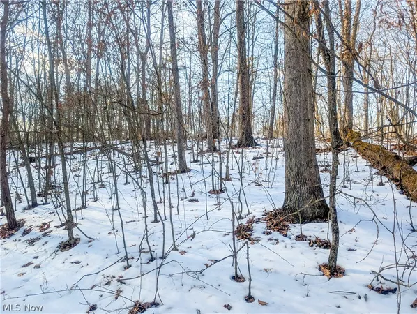 $737,000 | 16 Ch 59, Cutler, OH 45724