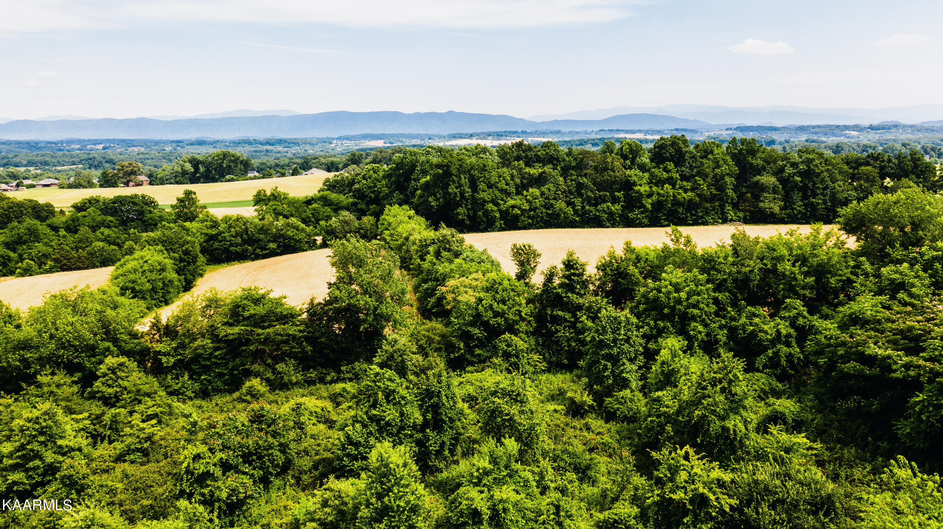 Gregory Road Greenback, TN 37742 - Photo 3 of 11 09 (1)