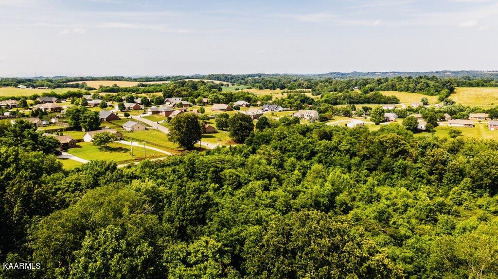 Gregory Road Greenback, TN 37742 - Photo 4 of 11 16