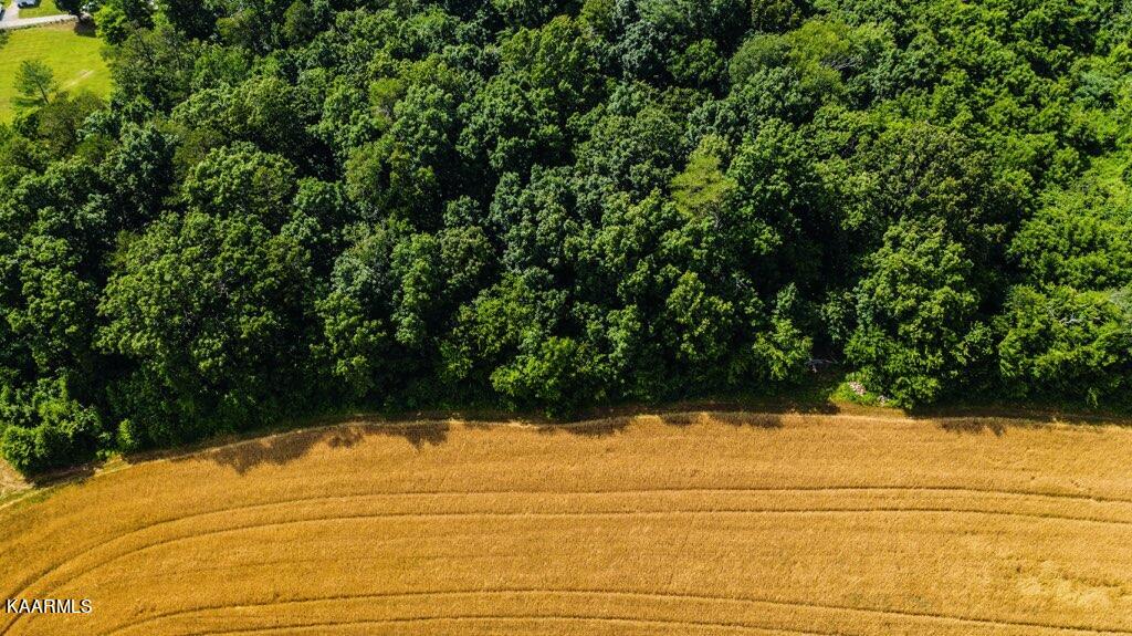 Gregory Road Greenback, TN 37742 - Photo 9 of 11 12