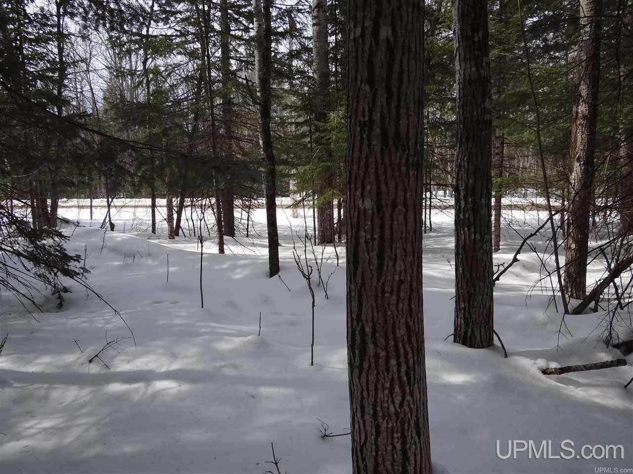 Tbd Dogpatch Road, Unit LOT A Lanse, MI 49946 - Photo 15 of 18