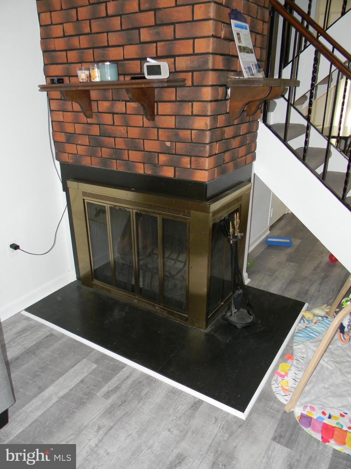 11319 Headlands Court Reston, VA 20191 - Photo 3 of 20 Fireplace