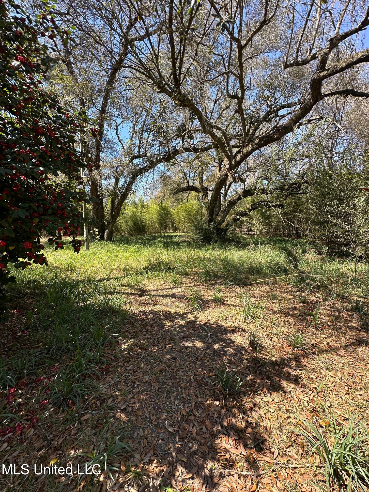 4193 Merrill Road Lucedale, MS 39452 - Photo 13 of 13 12