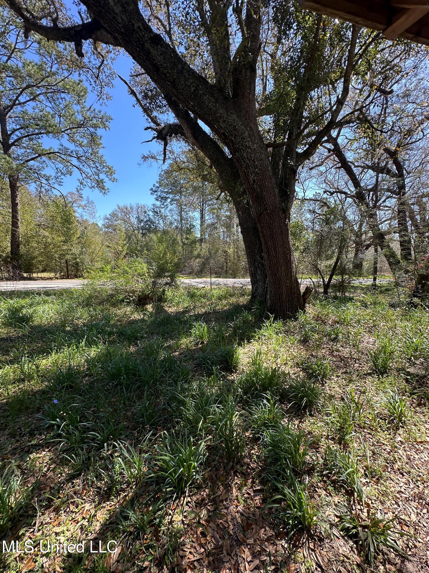 4193 Merrill Road Lucedale, MS 39452 - Photo 8 of 13 07