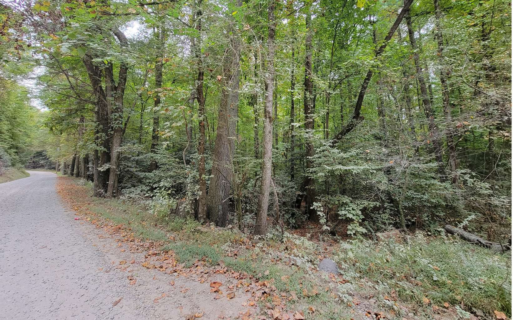 Old Miller Rock Road Ellijay, GA 30540 - Photo 1 of 2 Main View