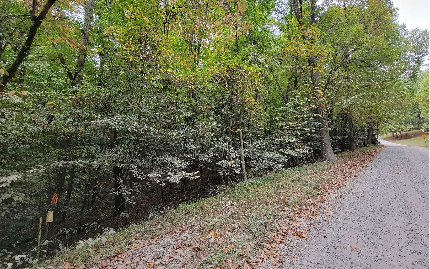 Old Miller Rock Road Ellijay, GA 30540 - Photo 2 of 2 Additional View
