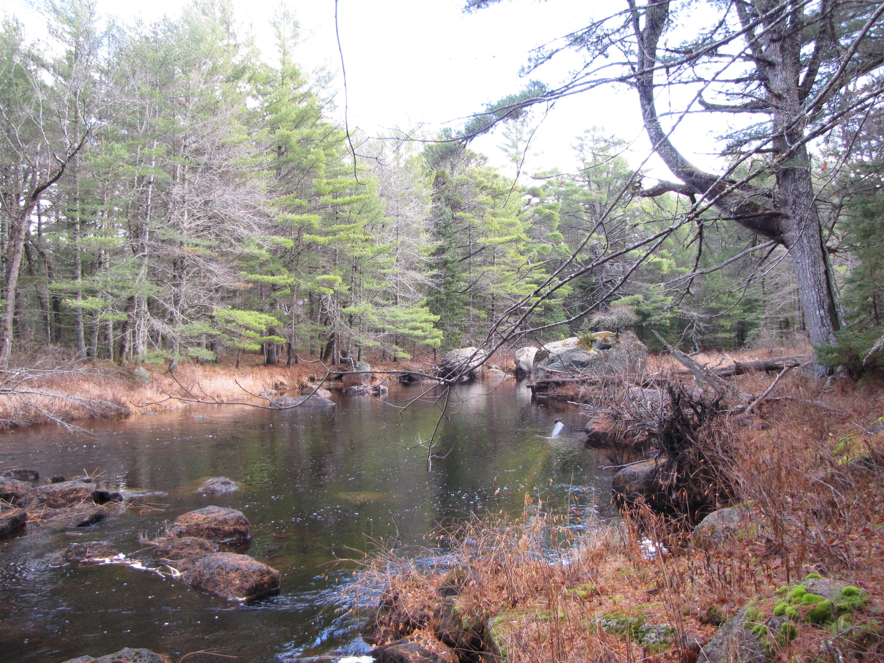 X X Off Ccc Road Machias, ME 04654 - Photo 18 of 57 IMG_1618