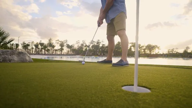 a view of a backyard with plants and trees