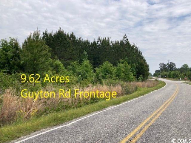 Guyton Road Marion, SC 29571 - Photo 2 of 3 Gallery Image 2