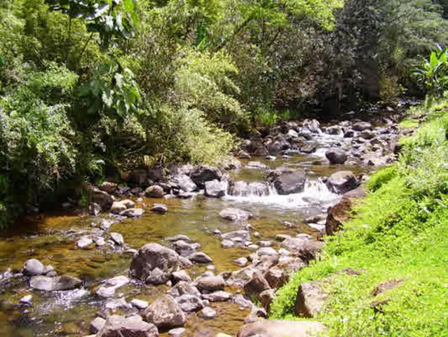 $475,000 | 287 Wainaku Street, Hilo, HI 96720