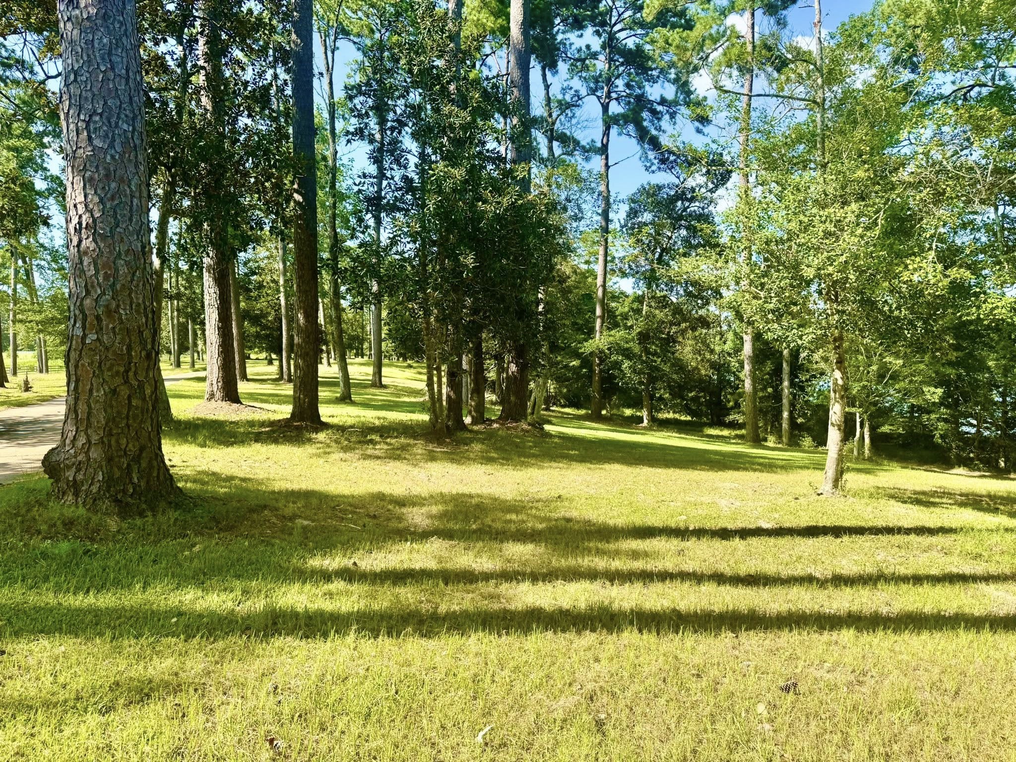 Tbd Tbd Lakeland Ranch Hillister, TX 77624 - Photo 20 of 31 a view of swimming pool with trees