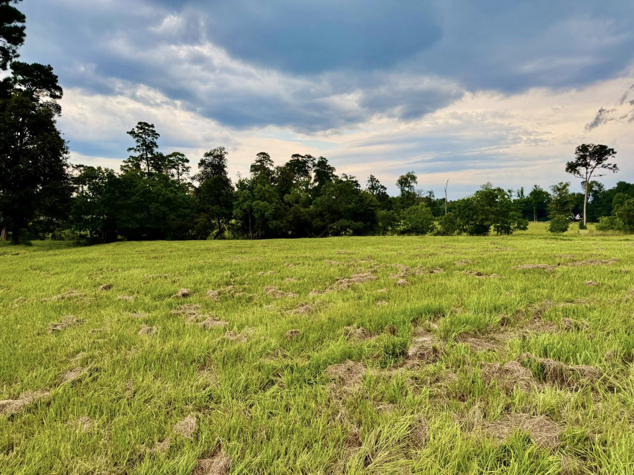 Tbd Tbd Lakeland Ranch Hillister, TX 77624 - Photo 26 of 31 a view of a field with an trees in the background