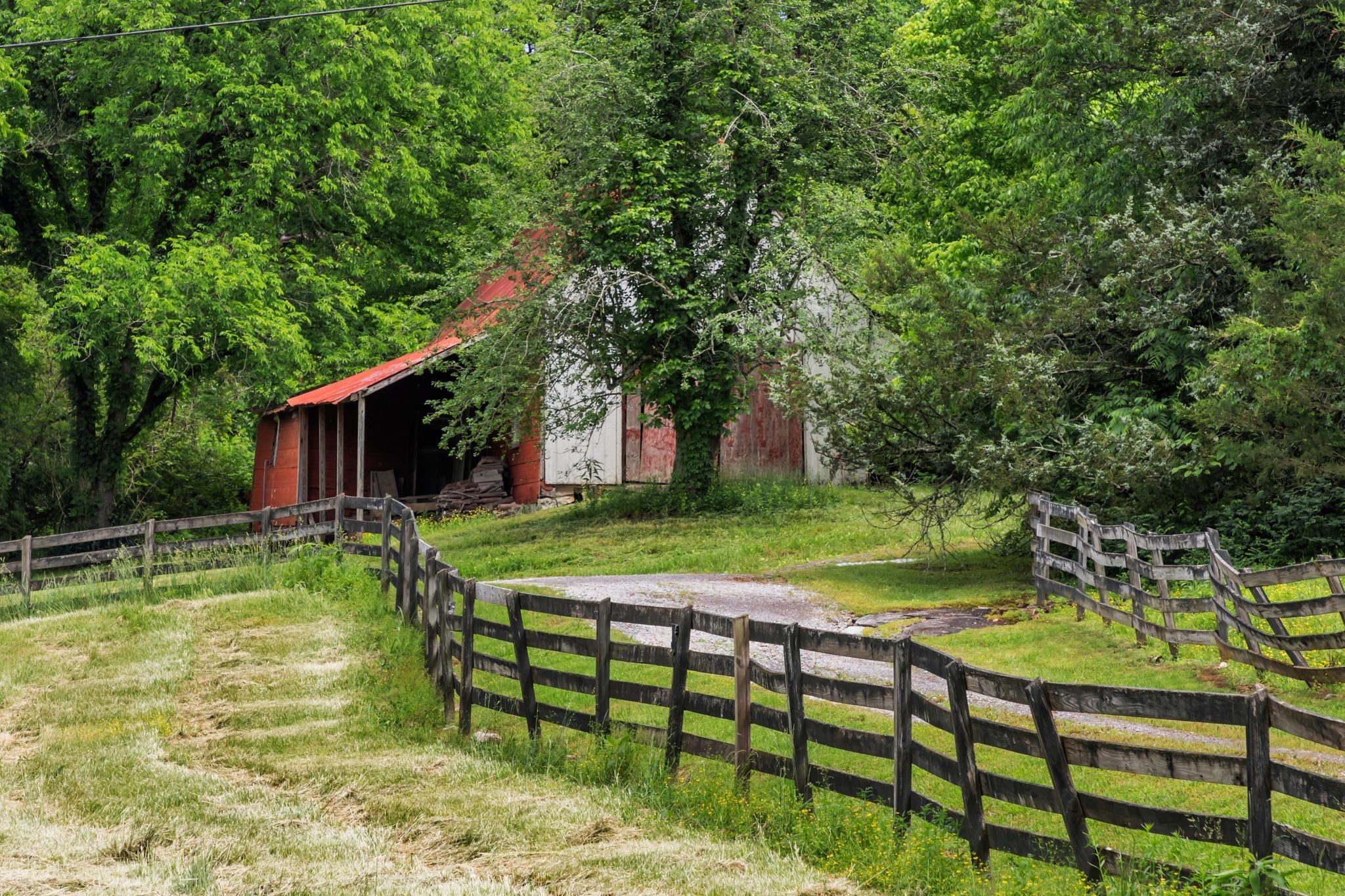 1036 Reed Hollow Road Readyville, TN 37149 - Photo 70 of 90