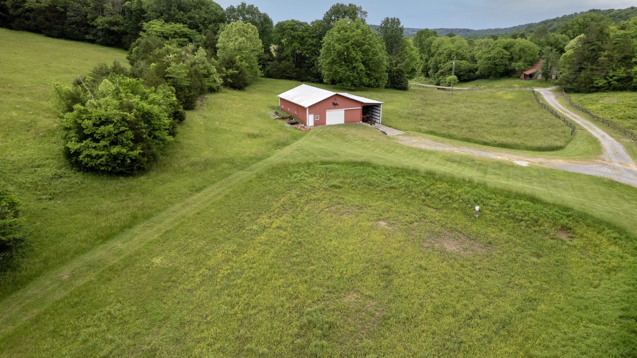 1036 Reed Hollow Road Readyville, TN 37149 - Photo 73 of 90 a backyard of a house with lots of green space