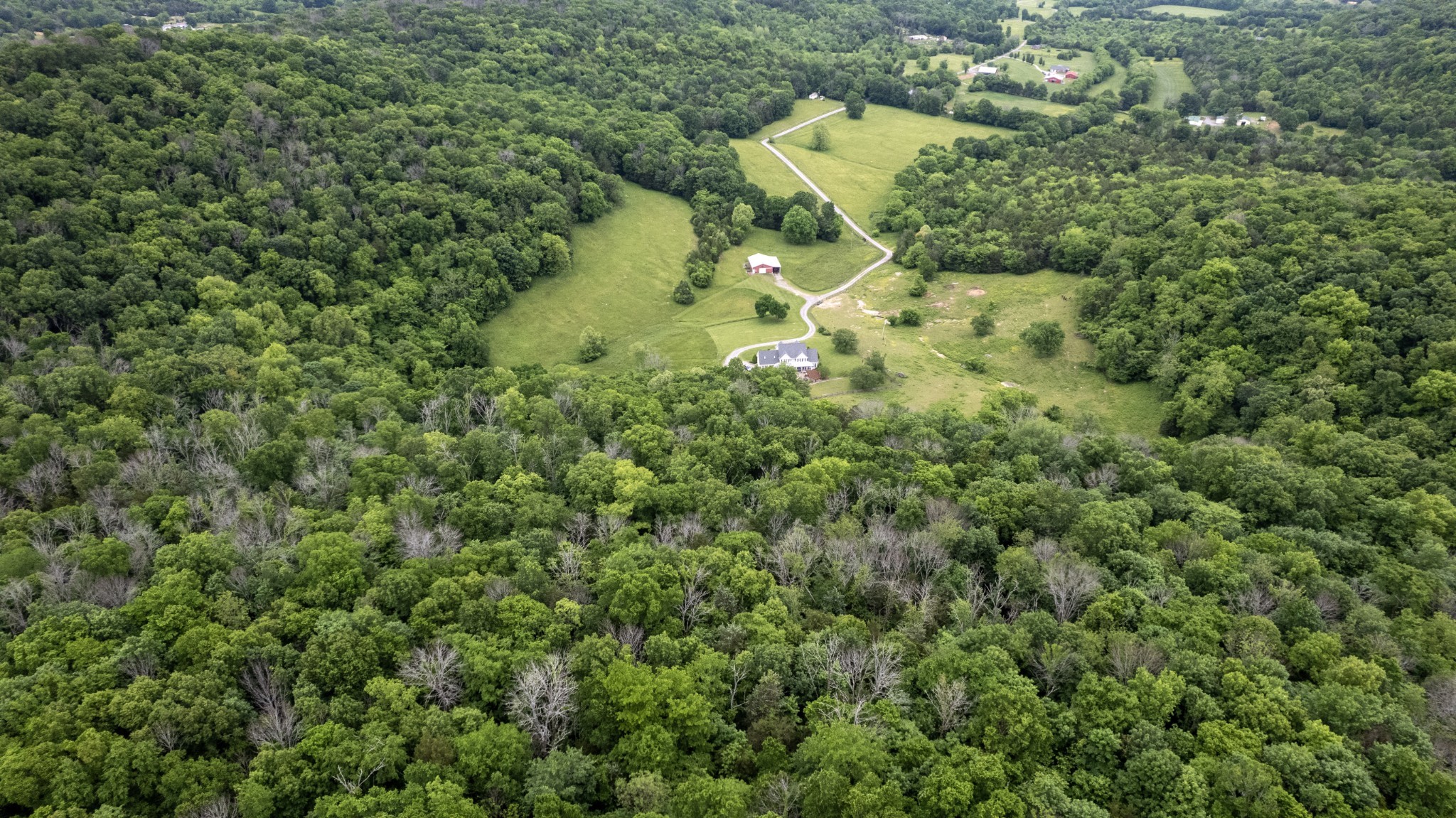 1036 Reed Hollow Road Readyville, TN 37149 - Photo 79 of 90 an aerial view of residential house with outdoor space and trees all around
