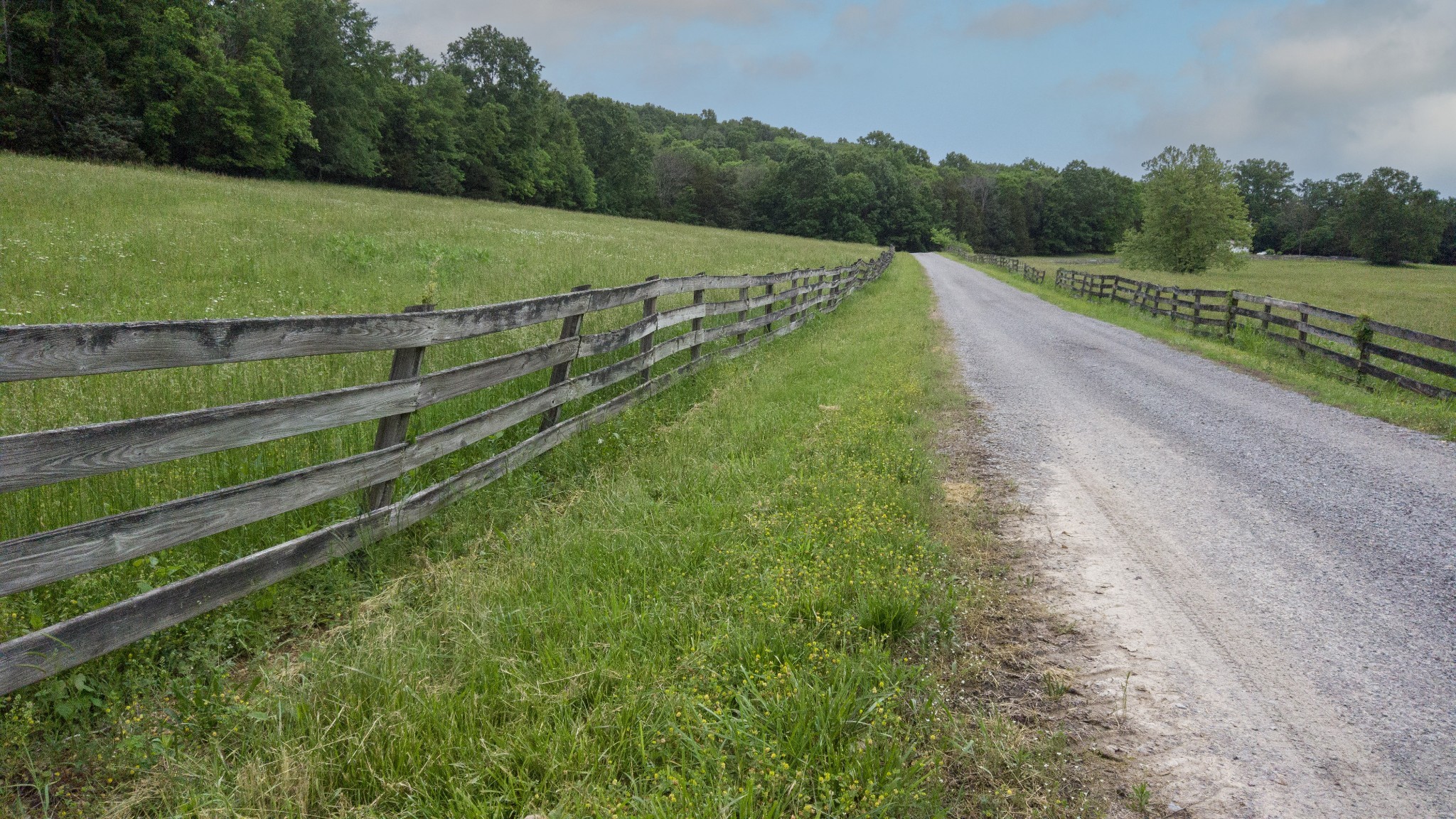 1036 Reed Hollow Road Readyville, TN 37149 - Photo 88 of 90