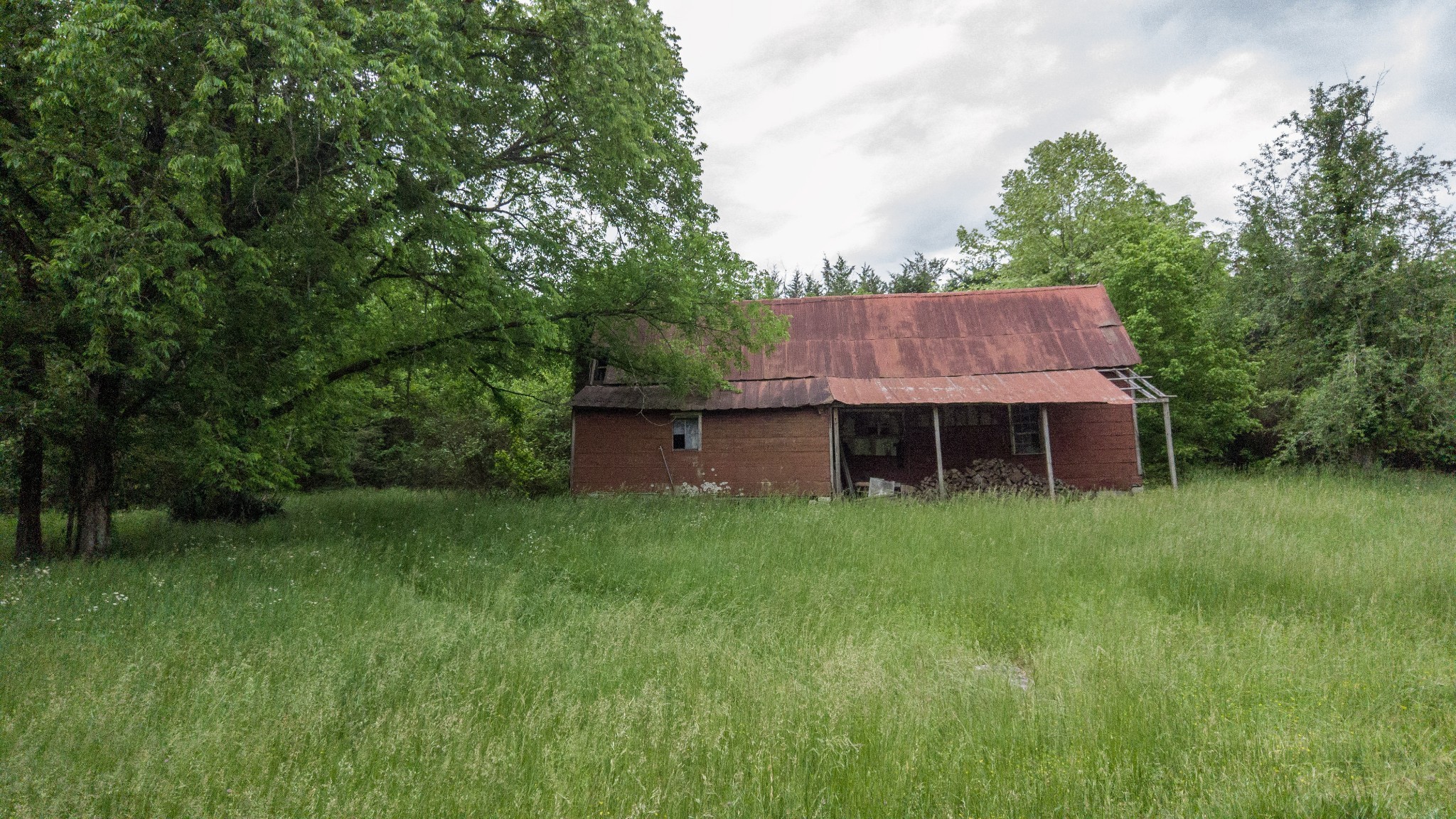 1036 Reed Hollow Road Readyville, TN 37149 - Photo 89 of 90 a view of a back yard