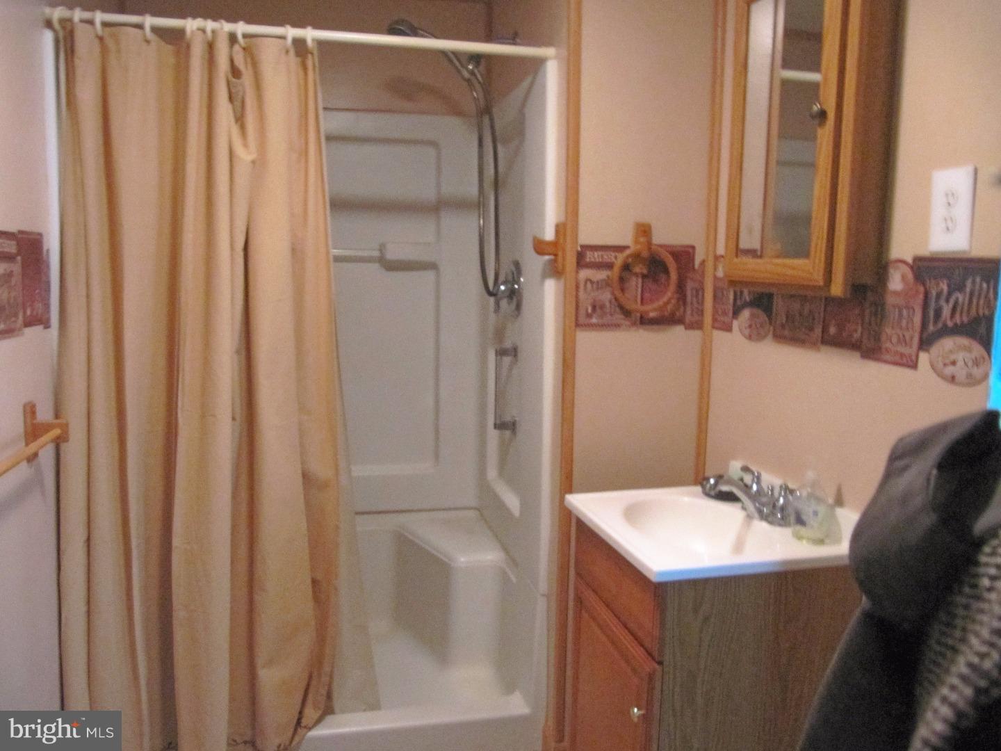 316 Vinemont Road Reinholds, PA 17569 - Photo 8 of 9 Bathroom