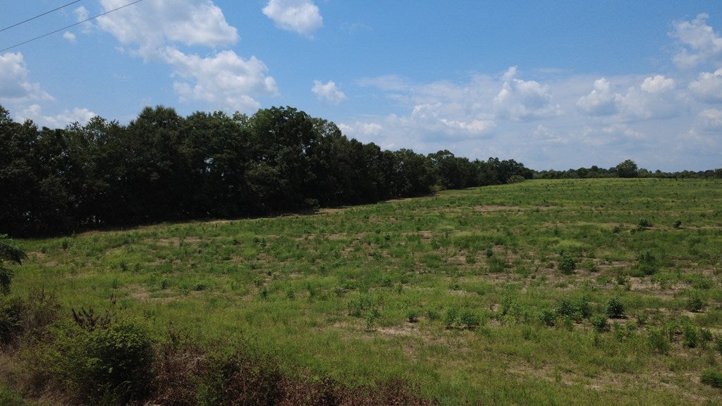 Lot 11 Middleton Road Dothan, AL 36301 - Photo 7 of 7 Gallery Image 7