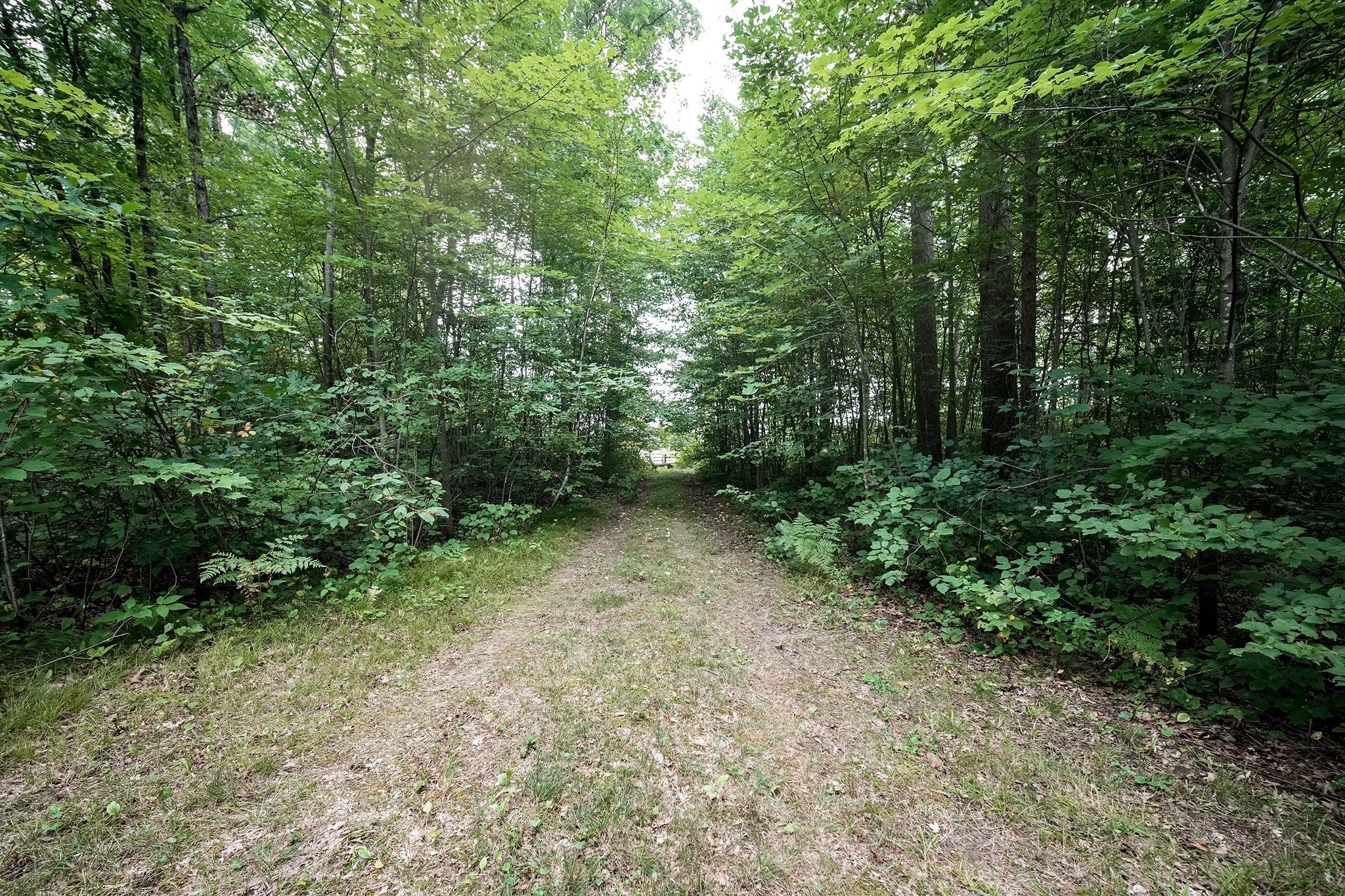 Xxx Pretty Road Springbrook, WI 54875 - Photo 11 of 12 Gallery Image 11
