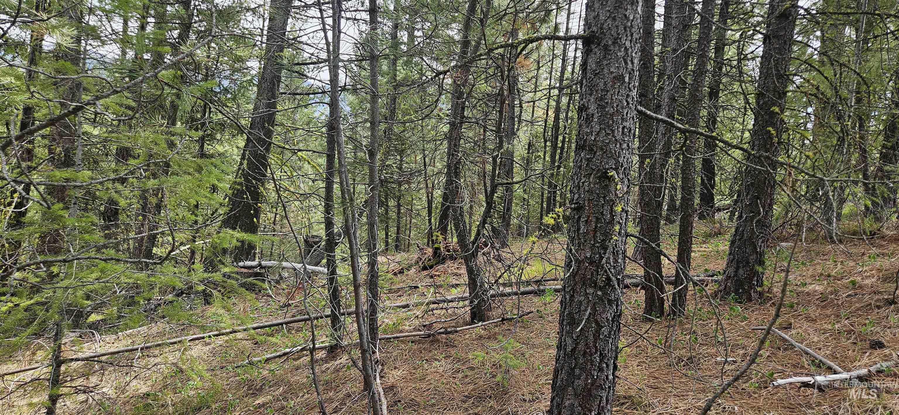 59 Price Loop Cascade, ID 83611 - Photo 21 of 44