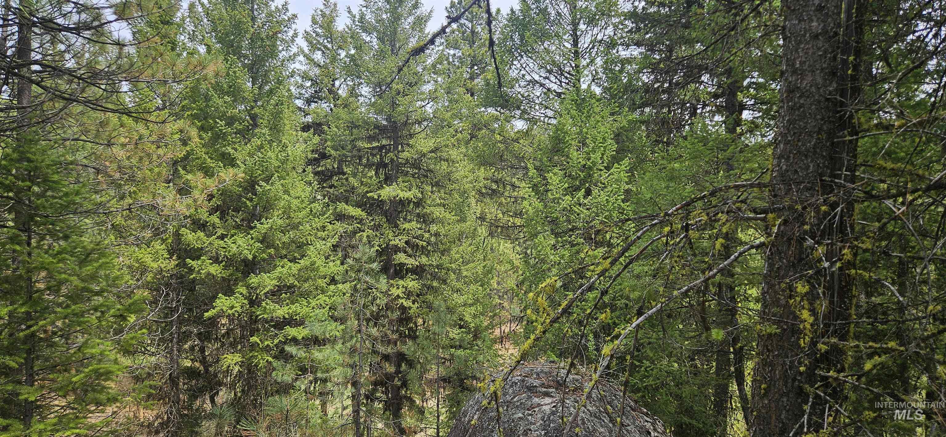 59 Price Loop Cascade, ID 83611 - Photo 26 of 44