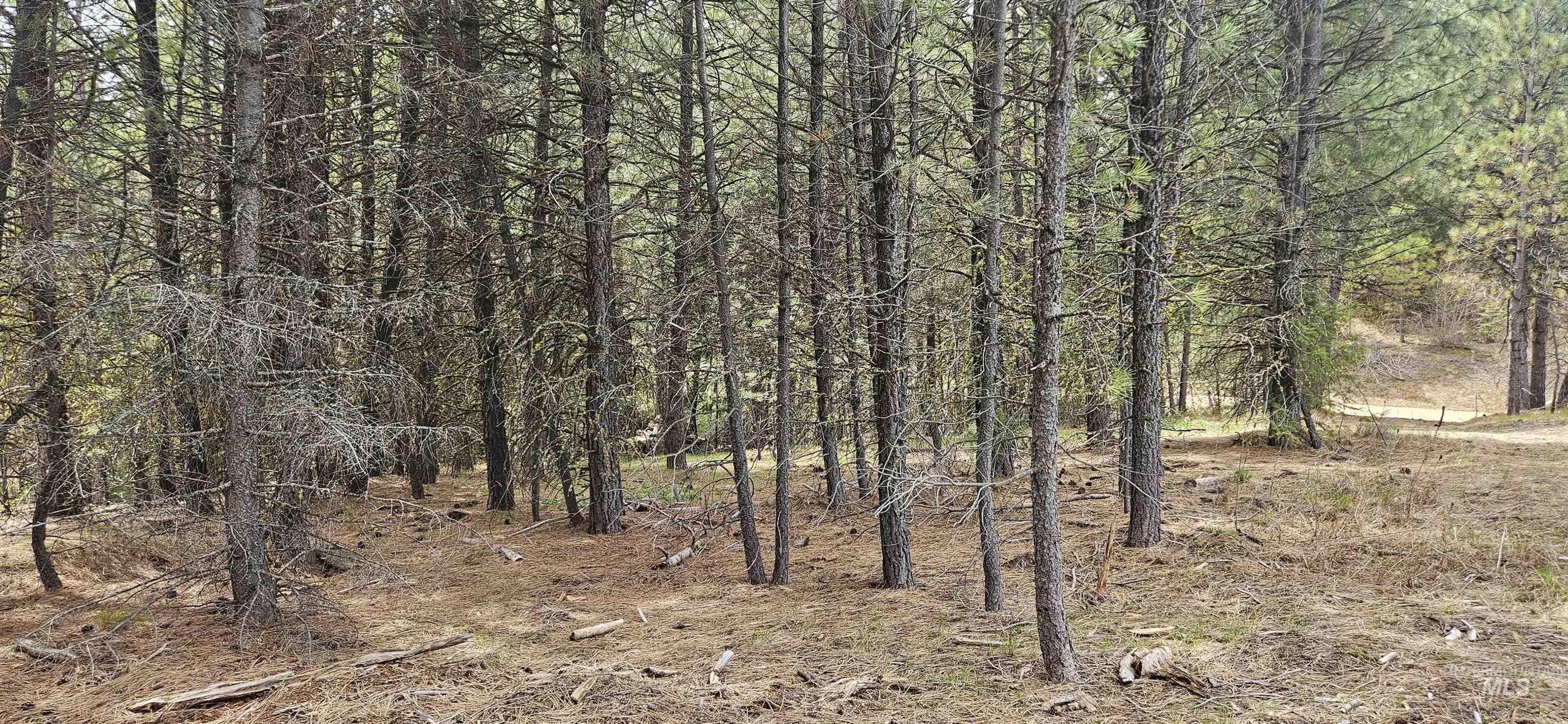 59 Price Loop Cascade, ID 83611 - Photo 30 of 44