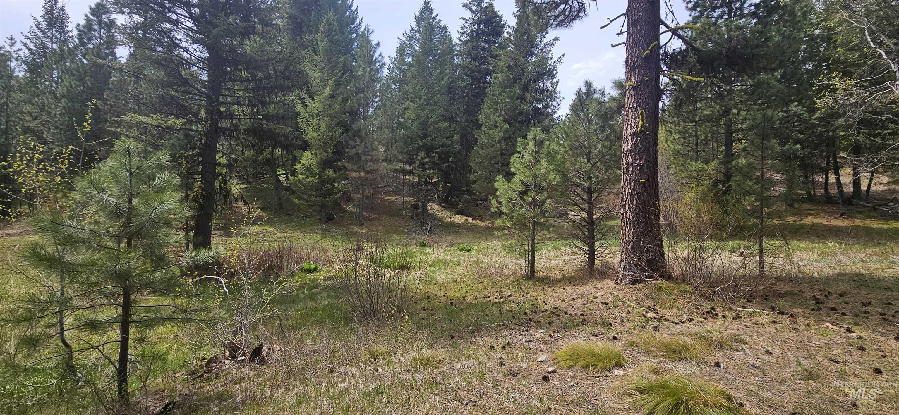 59 Price Loop Cascade, ID 83611 - Photo 38 of 44