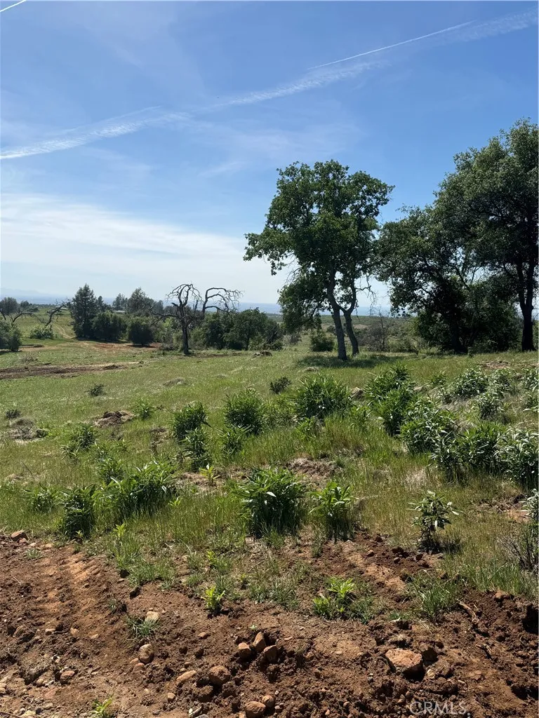 0 Round Valley Ranch Road Paradise, CA 95969 - Photo 13 of 33 a view of a garden with a tree