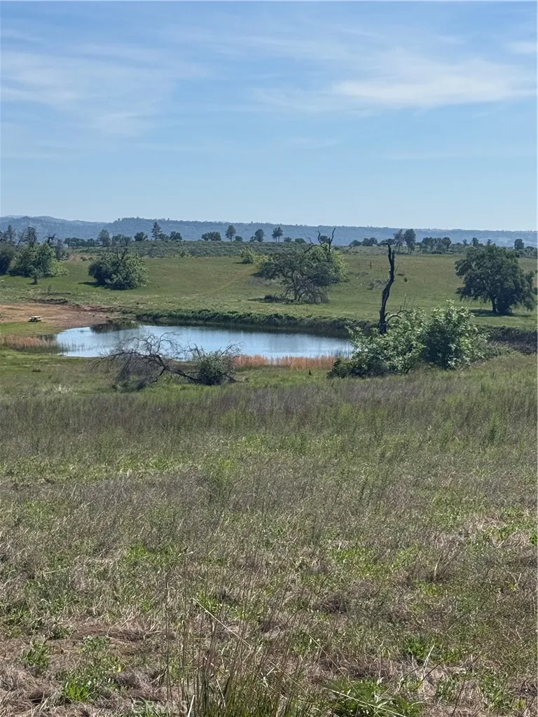 0 Round Valley Ranch Road Paradise, CA 95969 - Photo 16 of 33 a view of a field with an ocean and trees