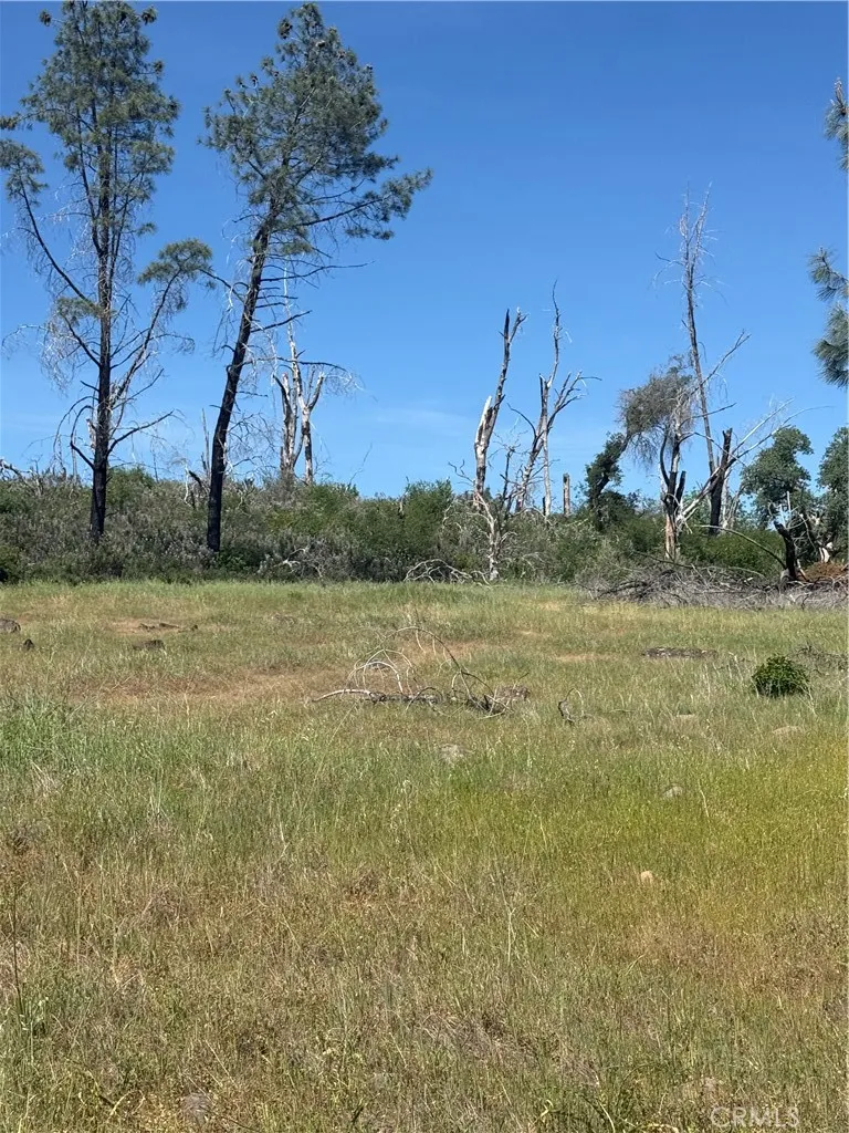 0 Round Valley Ranch Road Paradise, CA 95969 - Photo 24 of 33 a view of a yard