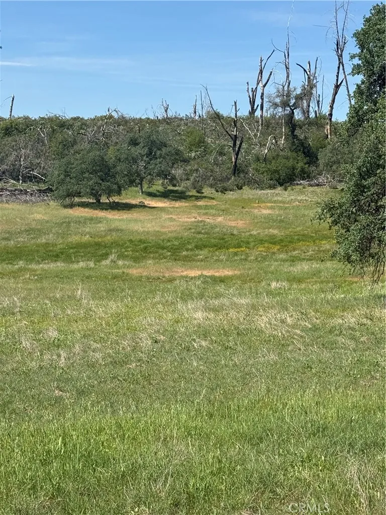 0 Round Valley Ranch Road Paradise, CA 95969 - Photo 26 of 33 a view of a field with an ocean
